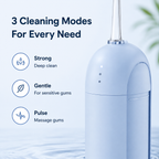 Portable Water Flosser-310