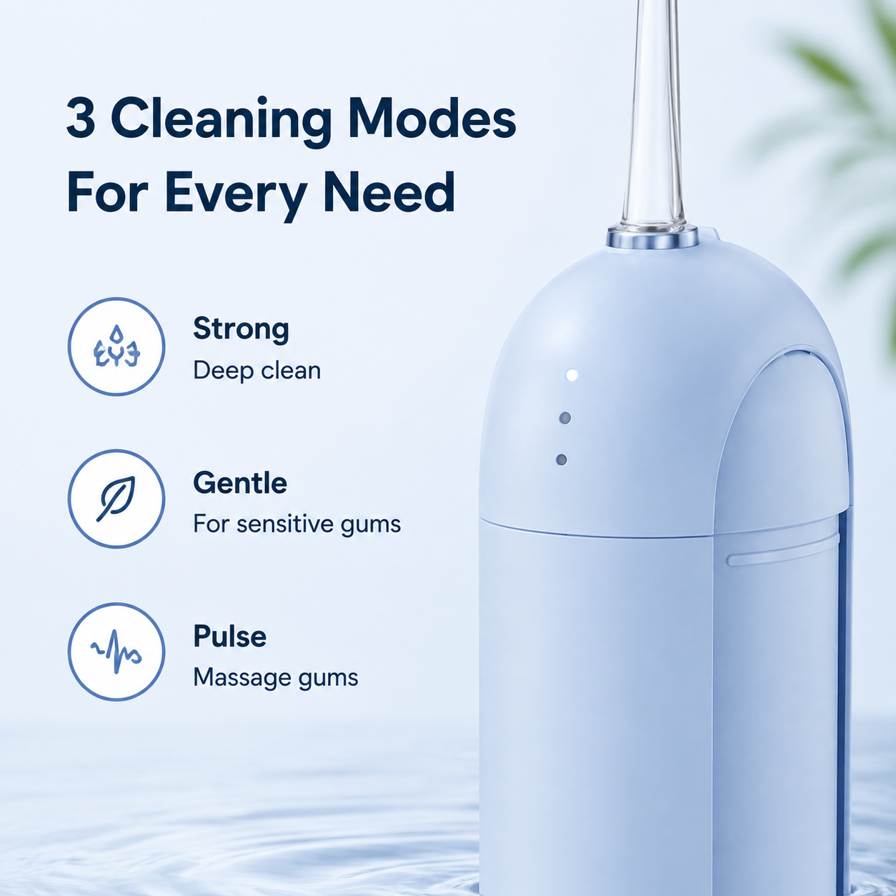 Portable Water Flosser-310