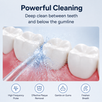 Portable Water Flosser-310